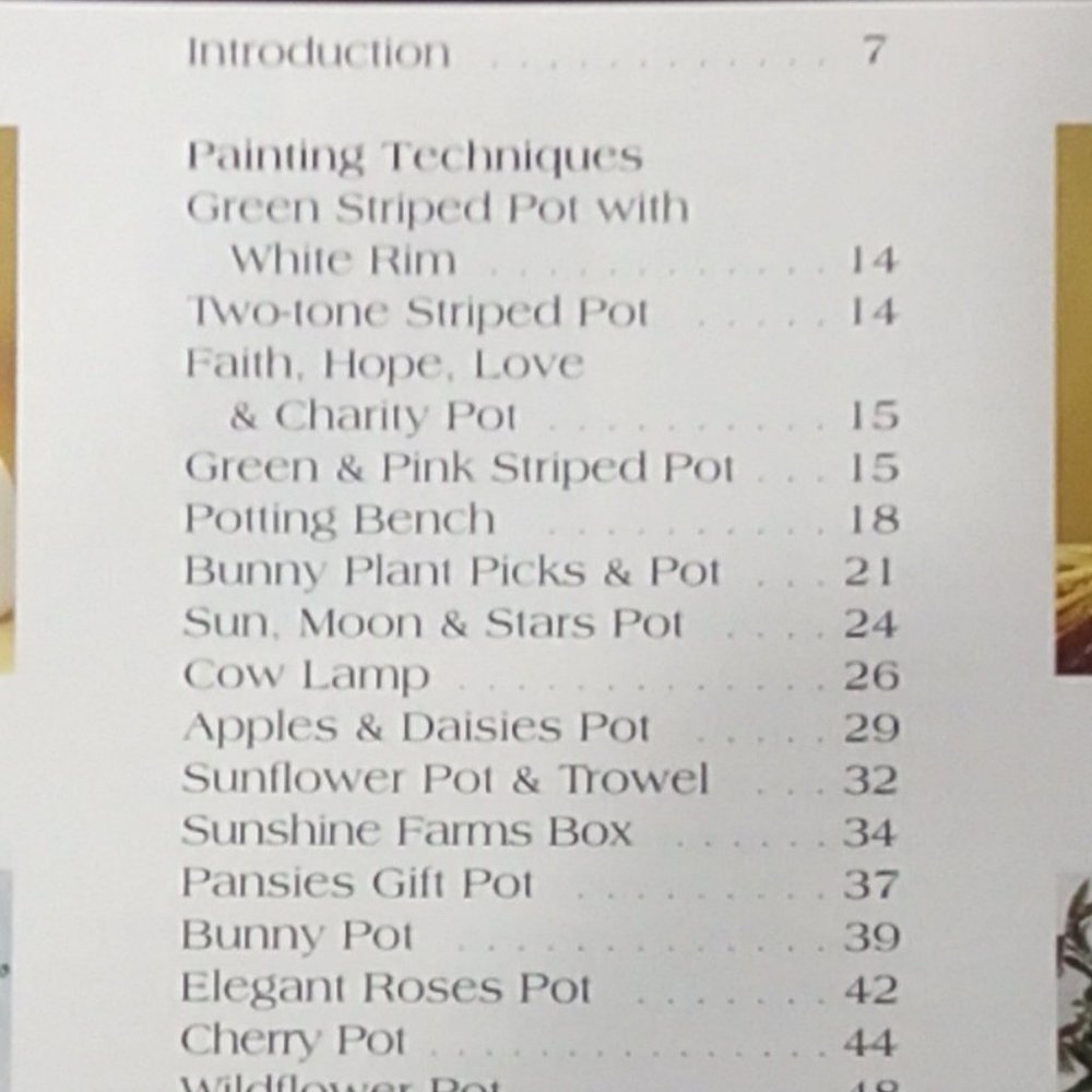 Painted Pots Instructional Craft Book Painting Techniques for Terra Cotta Pots - Picture 11 of 13
